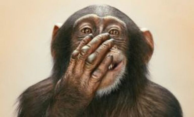 Foto: Sudutlancip.com